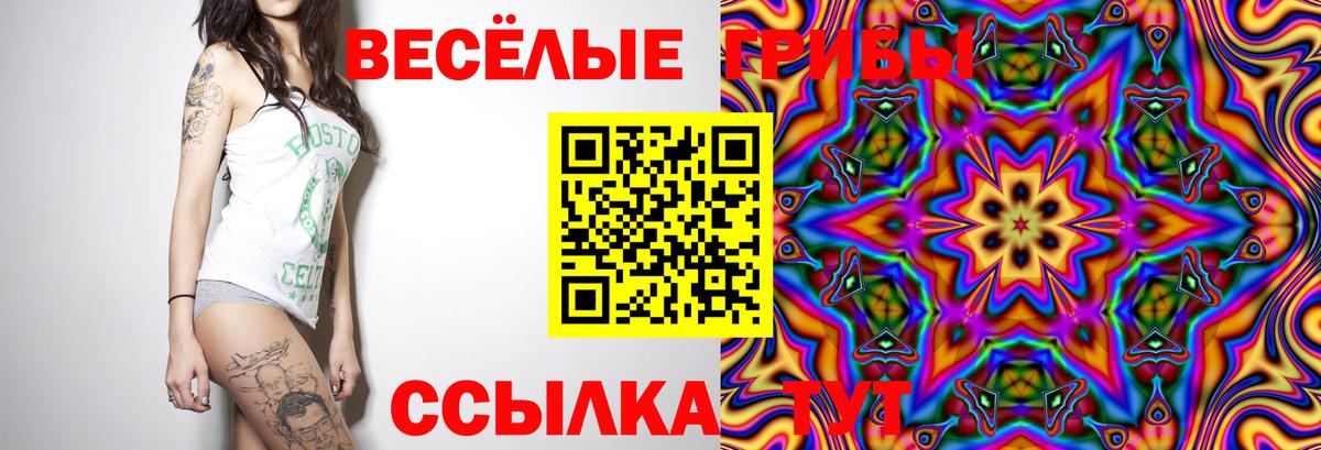 Псилоцибиновые грибы мухоморы Большой Камень