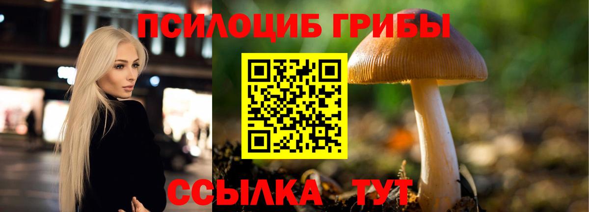 Большой Камень  Галлюциногенные грибы Psilocybine cubensis  Вход с VPN  Галлюциногенные грибы GOLDEN TEACHER 